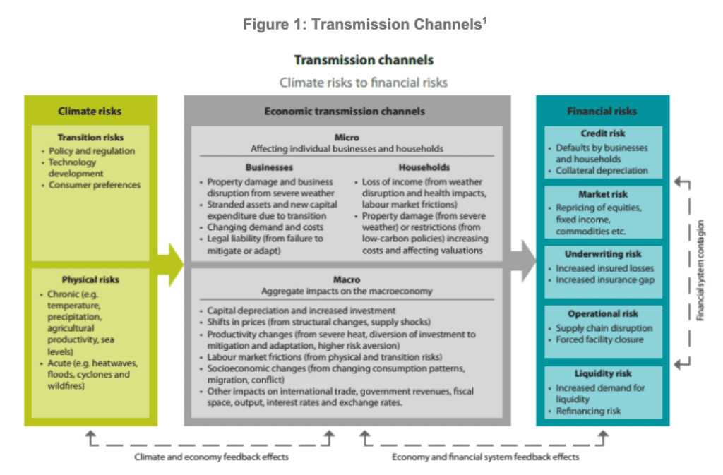 IMF-FSB Joint Report: G20 Crypto Asset Policy Implementation Roadmap: Status report